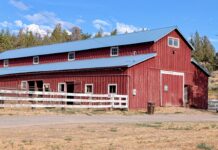 Water district’s agenda raises renewed questions, ethics issues over intent to contract again with illegal horse co-op