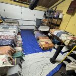 cats_paulina_rescue_trap