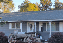 Crook County woman indicted for manslaughter in toddler’s unlicensed day care death