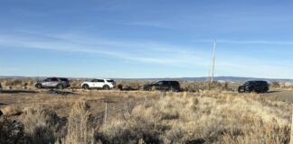 High-speed pursuit of Prineville man ends in arrest in Harney County