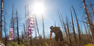 Travel Oregon seeks a new boss at a more reasonable salary