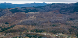 Appeals Judge who wrote opinion favorable to PacifiCorp in landmark wildfire case formerly represented the utility giant