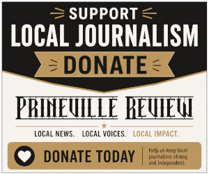300x250 Donate