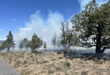 Brush fire near NW Cedar Place contained by Crook County Fire & Rescue