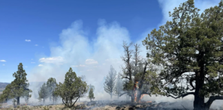 Brush fire near NW Cedar Place contained by Crook County Fire & Rescue