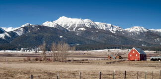 Wallowa County Democrats join Crook County, Republicans and Gov. Kotek in Opposition to IP 28