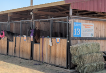 Wildfire victims’ relocation from Crook County Fairgrounds draws criticism, sparks debate over county fair priorities