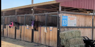 Wildfire victims’ relocation from Crook County Fairgrounds draws criticism, sparks debate over county fair priorities