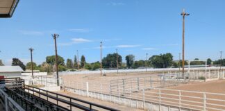 Crook County still weighing $1 million horse racing grant as questions linger over earlier closed-door committee meetings